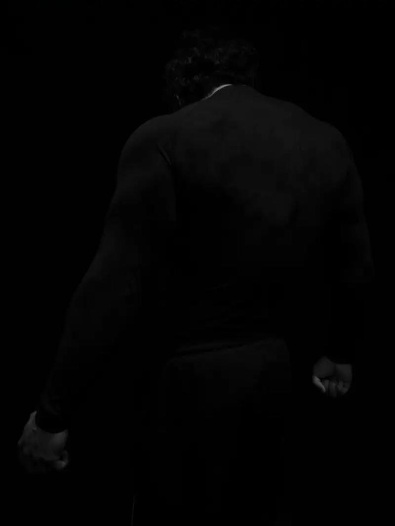 Men's Regular Fit Sports Tee, Quick Drying Breathable Long Sleeve T-shirt, Casual Sporty Top for Gym Running Hiking, Athletic Sports Clothing