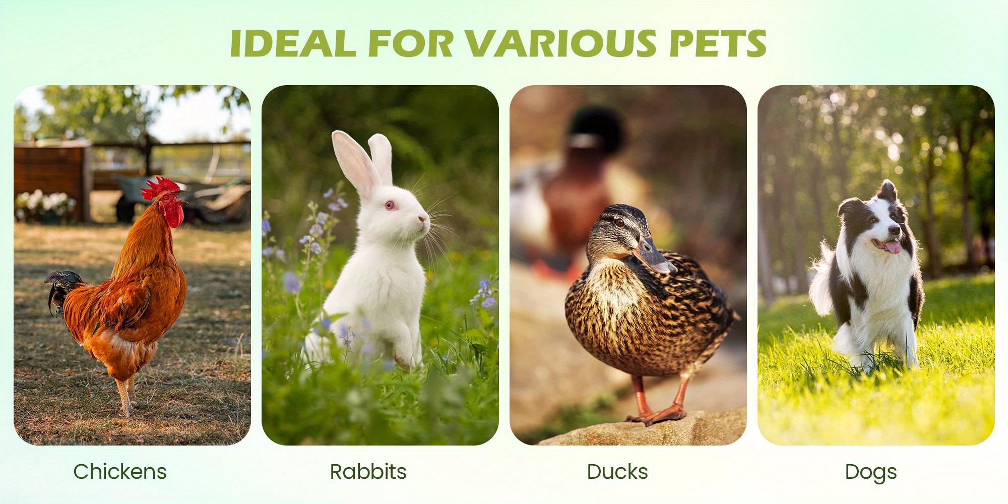 13'x13' Large Outdoor Dog Kennel, Heavy Duty Outdoor Dog Kennel with Waterproof Cover and Rotating Feeder, Galvanized Steel Metal Outside Dog Kennel with Lockable Door