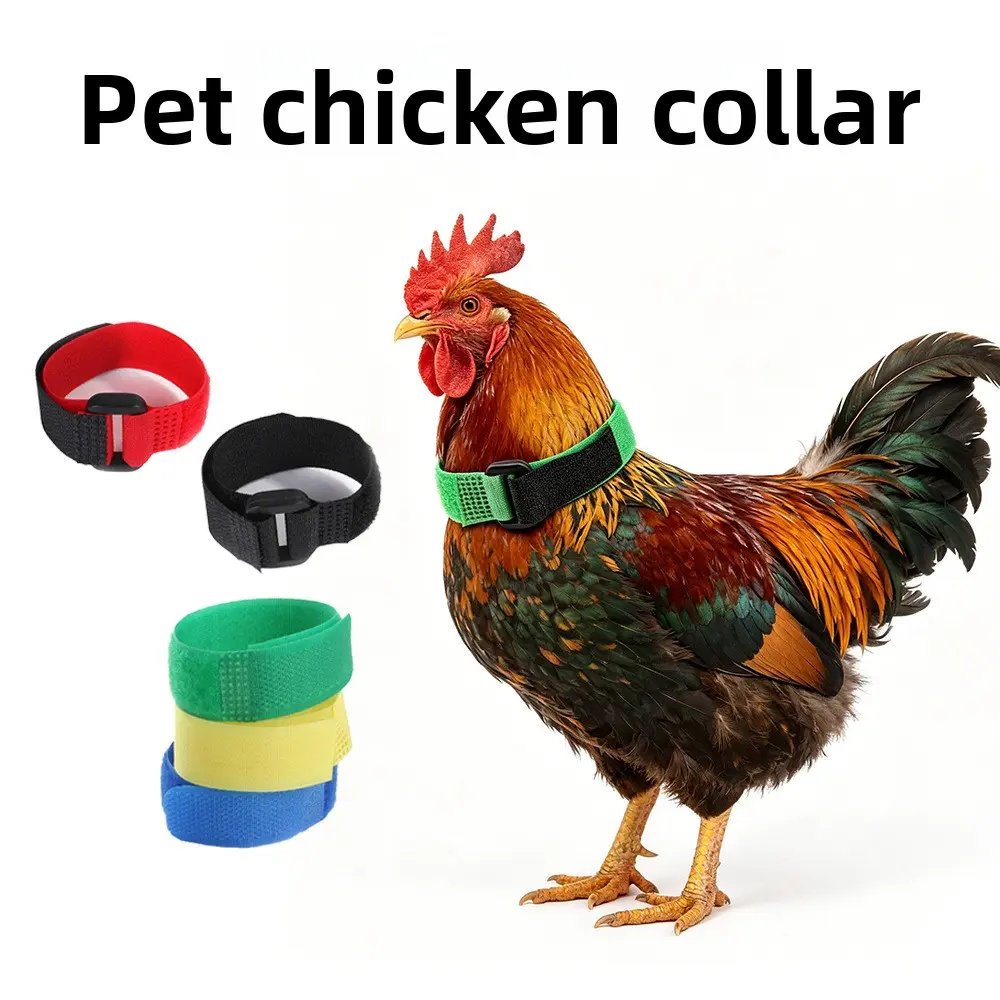 Rooster No‑Crow Collars, Cross‑Border Pet Rooster Neck Collars, Hook‑Free Knot‑Free Neck Straps, 2‑Pack