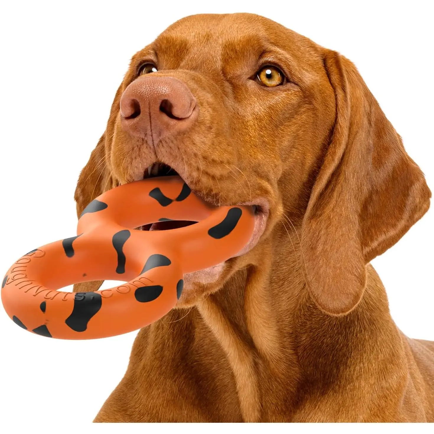 —  Toys for Aggressive Chewers | Virtually Indestructible Pull  for Breeds Such as Pit Bulls and  Shepherds | Heavy Duty Tug   | Medium | Orange