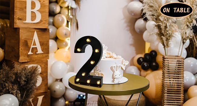LED Marquee Numbers with Marquee Look, 2026 Battery-Powered Lighted Decor, 2 Black Small Light Up Pieces for Birthday, Home & Party Supplies