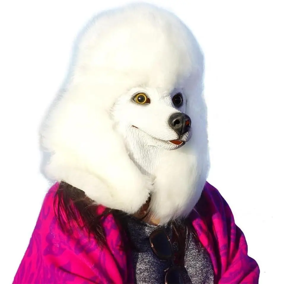 Poodle Head Mask for Adults, Natural Latex Poodle Dog Costume Mask for Halloween Parties and Cosplay, WhiteGift.