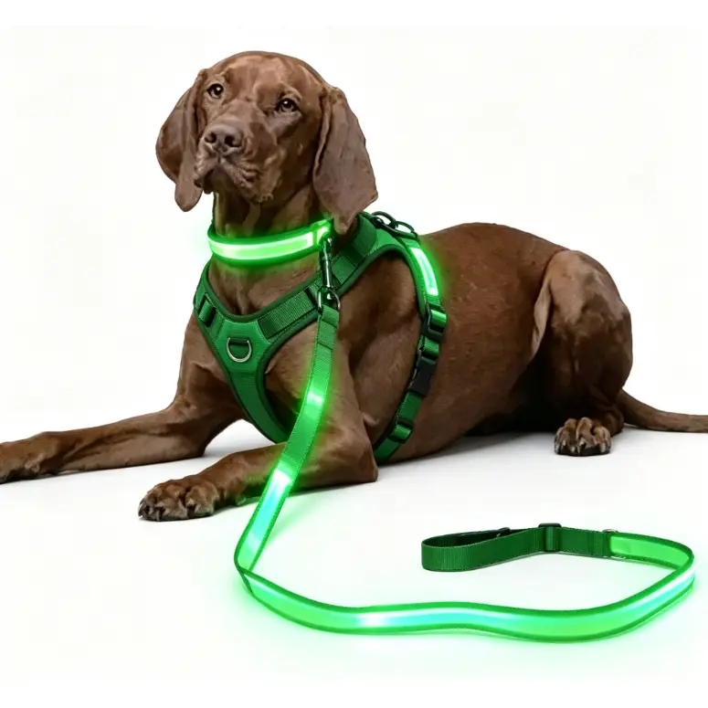 LED Light Up Dog Leash for Night Safety, Rechargeable Glowing Reflective Dog Lead for Evening Walks, Durable High-Visibility Pet Accessory