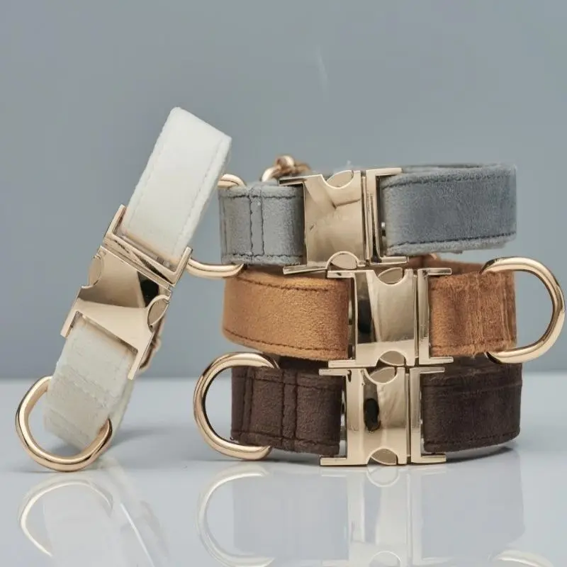 Velvet Dog Collar with Metal Buckle - Leash Included Pet Set, Pet Supplies for Daily Walks