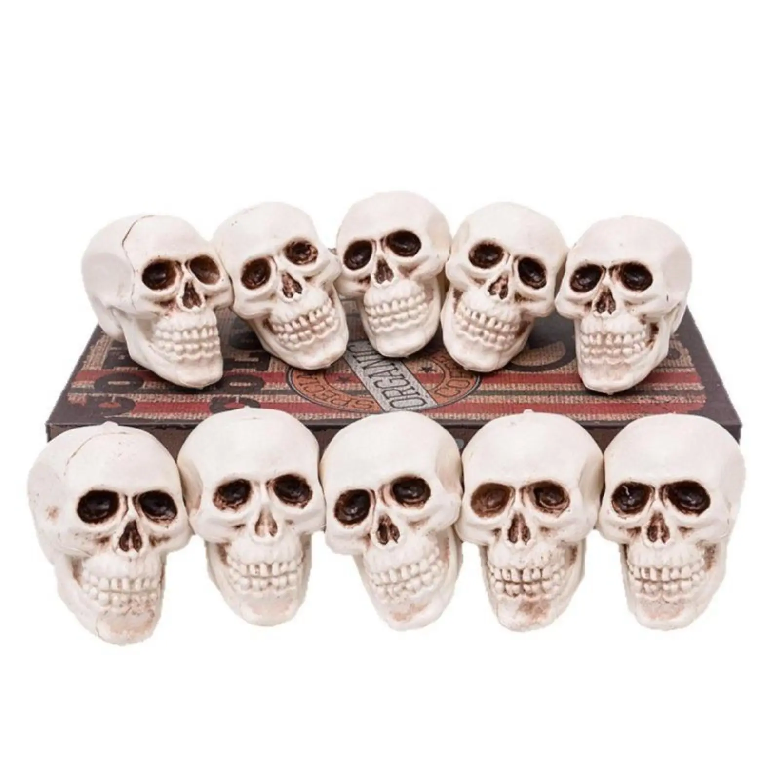 10 Pieces Halloween Skulls Realistic Looking Skulls Human Skeleton Head for Halloween Bar Home Table Decoration