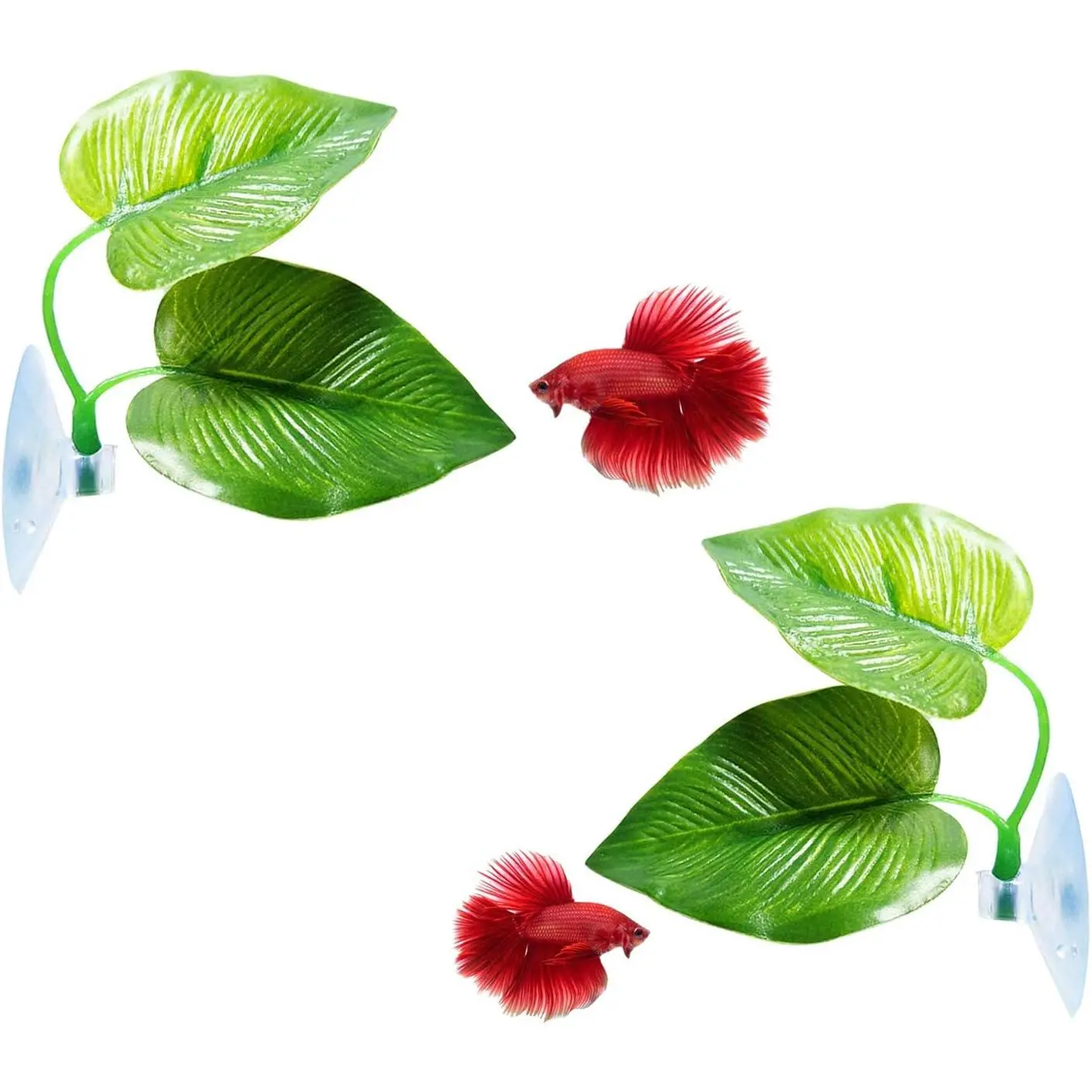 2 Pack Betta Fish Leaf Hammock, Natural Betta Resting Leaf for Fish Tank, Aquarium Betta Bed, Betta Fish Tank Accessories, Aquarium Decor