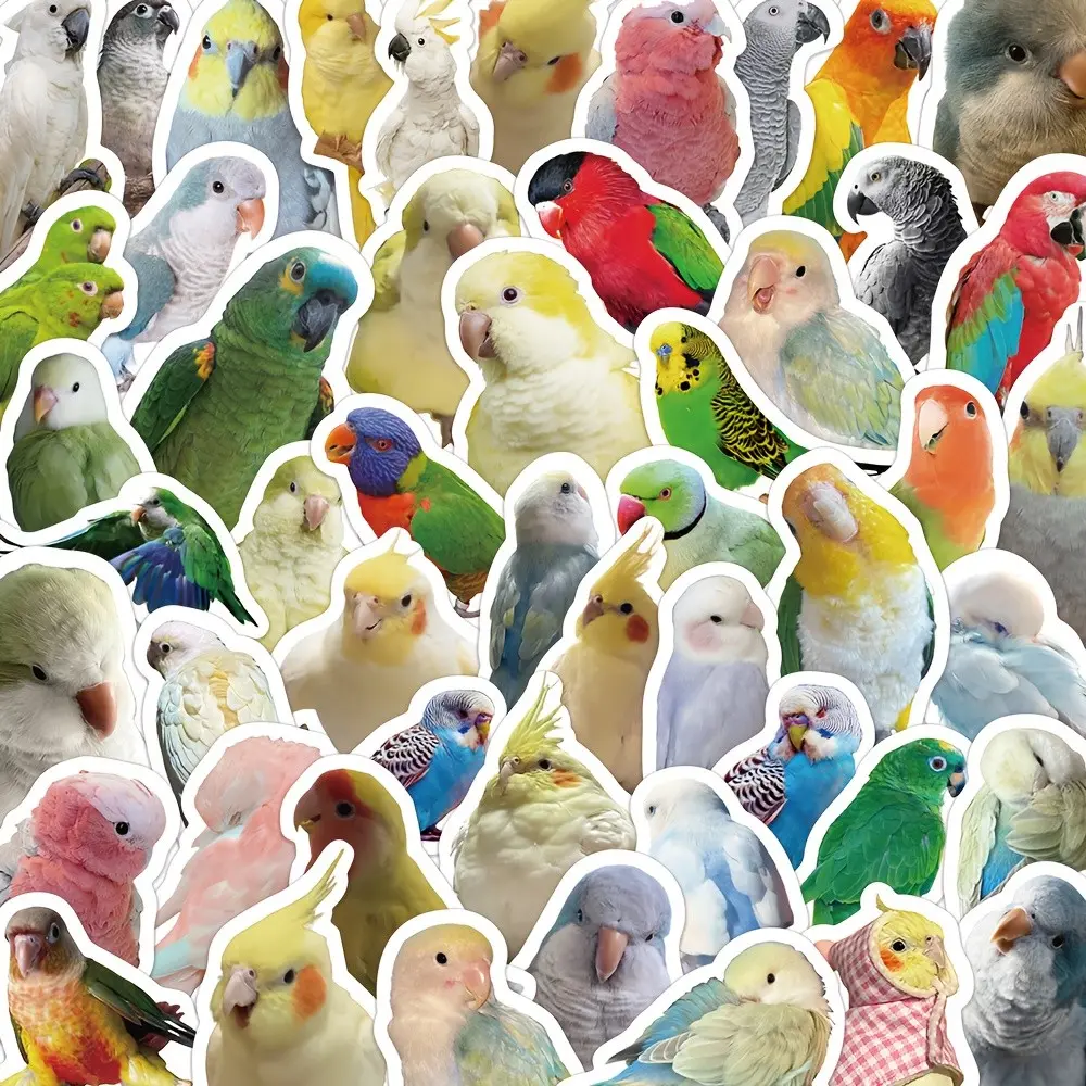 Realistic Parrot Stickers, 5 Packs X 100pcs, 500pcs Total, Cute Bird Decals for Phone Cases, Desktops, Stationery, Tablets, Self-Adhesive