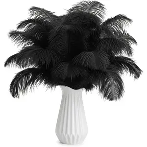 20Pcs Black Ostrich Feathers 8-10'' Bulk Feathers for Decoration, Wedding Centerpieces, Mother's Day, Crafts, Carnival, Party Decor, Floral Arrangement, Bohemian Home Decor (Black)