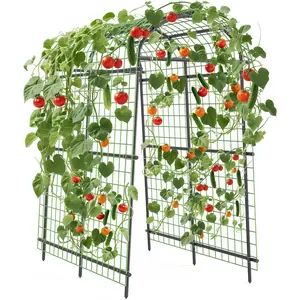 7.5FT Stainless Steel Garden Trellis Arch, Heavy Duty Outdoor Garden Accessory with Netting, Ground Spikes, Black Rustproof Polyethylene Coating, Adjustable Width for Climbing Roses, Vines, Weddings, Parties