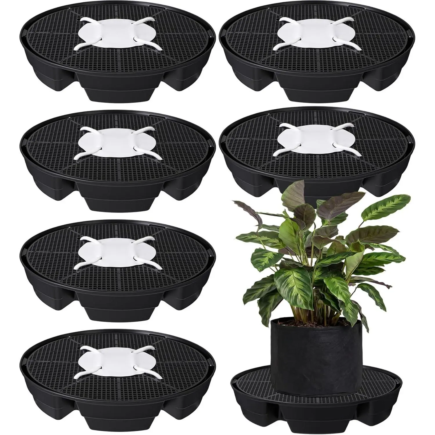 6 count Self-Watering Fabric Pot Base Auto-Irrigation System   for 5 Gallon Fabric Pots Auto Watering  Water Tray Self Watering System for Indoor Greenhouses Grow Tents Gardens