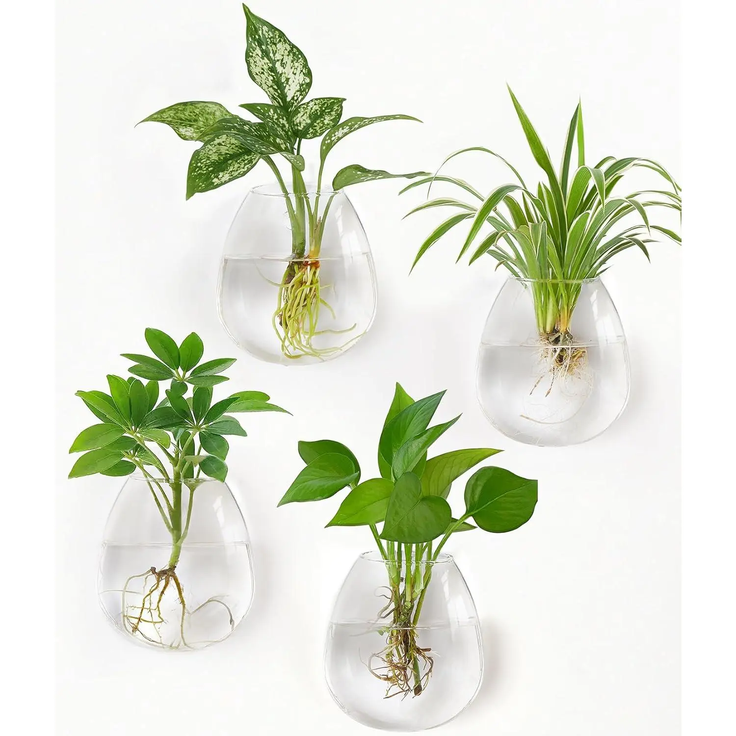Propagation Stations Wall Hanging Planters Glass Wall Mounted Vases Oblate Terrarium for Flowers Hydroponics Indoor Plants Home Bathroom Office Decor, 4.7" W x 5.1" H, 4 Pack