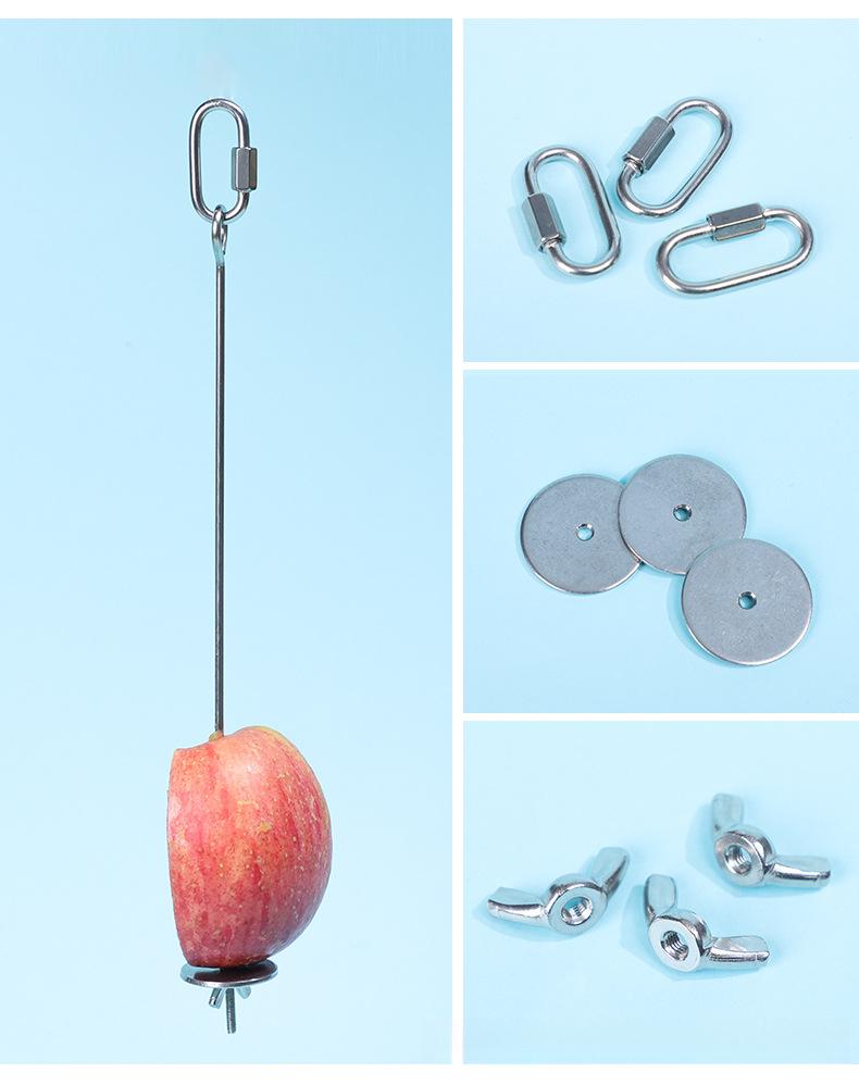 Parrot stainless steel fruit fork, corn and apple fork, pet bird supplies, hangable toy, bird feeder accessories