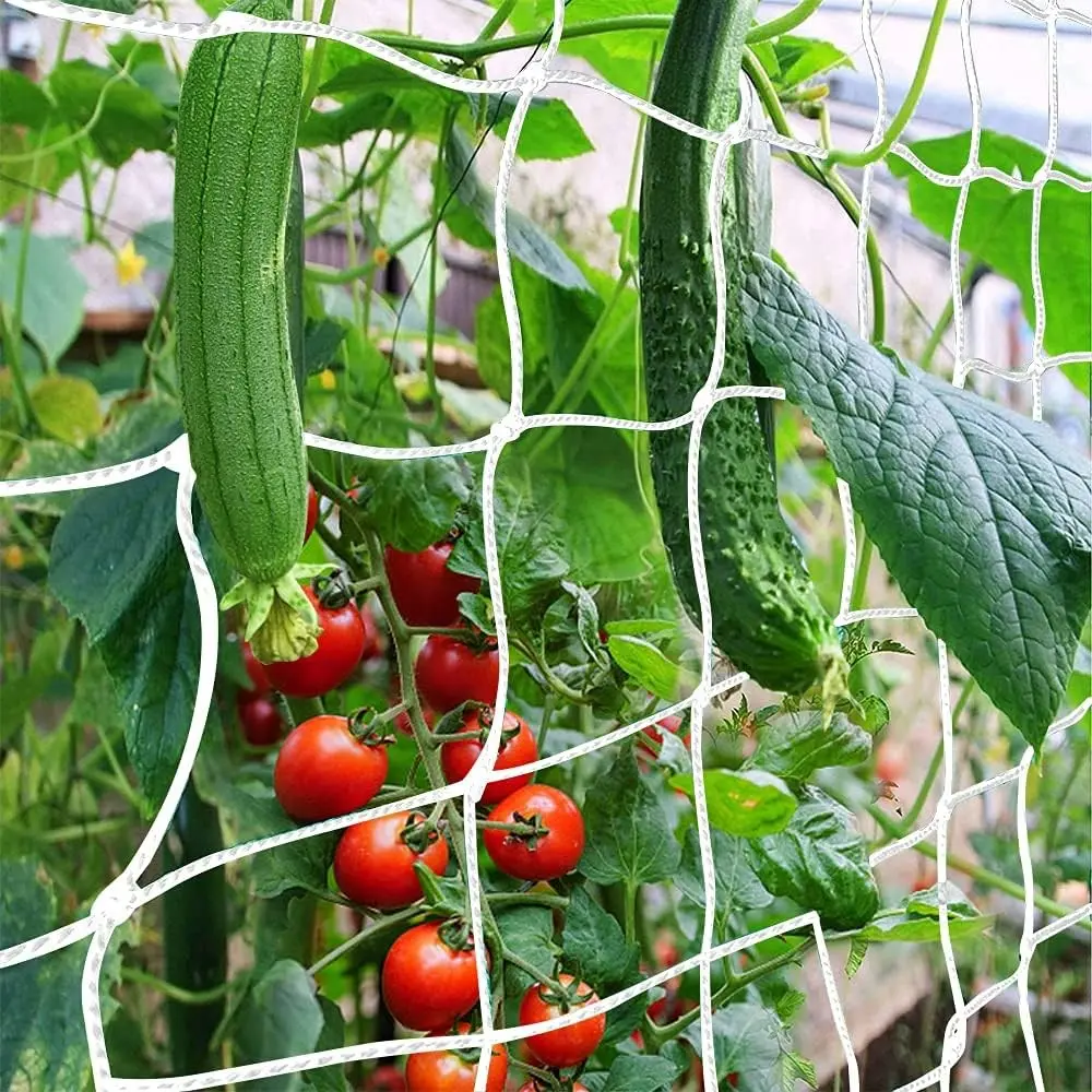Trellis Netting, Heavy-Duty Garden Plant Trellis Netting for Climbing Plants, Outdoor Indoor Grow Net for Beans Tomatoes Peas Pumpkin Flowers, 6x15ft, 1 Pack