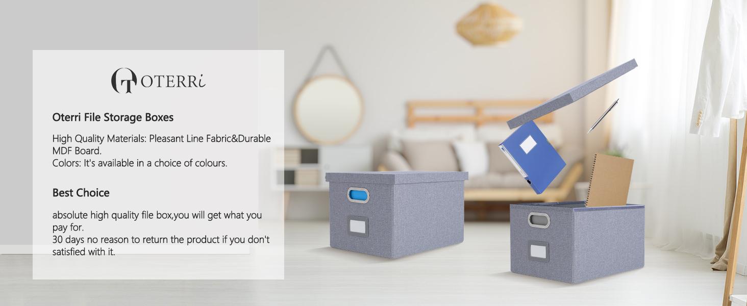 File Organizer, File Box, File Cabinet for Letter File Folder Storage, Hanging File Organizer for Office/Decor/Home, Document Organizer, 1 Pack, Gray