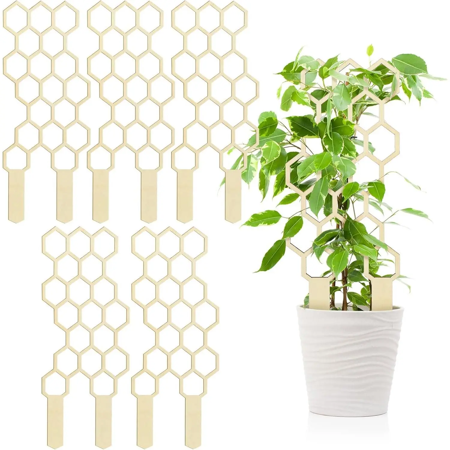 5 Pack Indoor Plant Trellis for Climbing Plants 11.8 Inches Small Garden Wooden Trellis for Potted Plants Honeycomb Shape Trellis Starter Holder for Outdoor Flower Plant Support Accessories