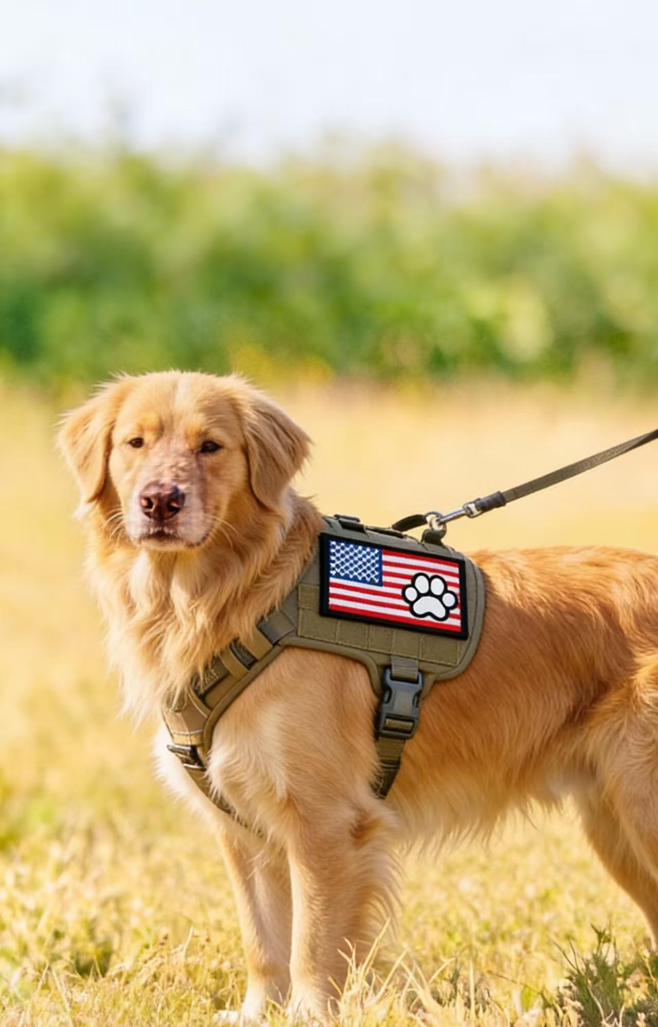 20-Pack Service Dog Tactical Morale Patches, 100% Flag Patch Guaranteed, No Duplicates, Fully Embroidered Hook & Loop for Dog Harnesses, Vests, Collars & Leashes.