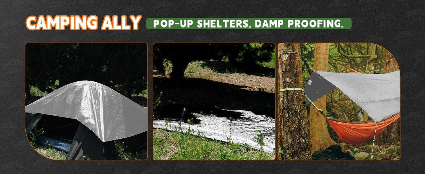 Tarps Heavy Duty Waterproof 6x8 Feet, 10Mil Multipurpose Small Tarp Cover with Metal Grommets and Reinforced Edges, Silver/Brown Tarp by RAINDEWAY