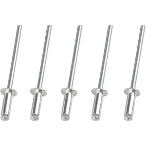 100 PCS 3/16" x 5/16" Aluminum Blind Rivets, 4.8 x 8mm Pop Rivets, Silver