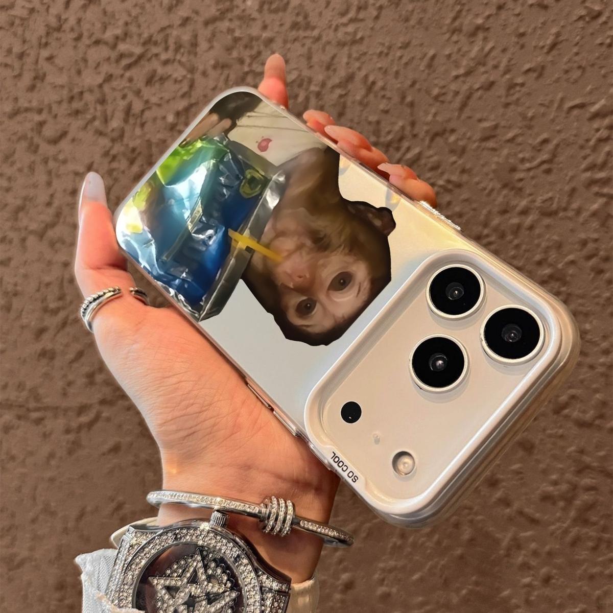 Drin king monkey Pattern Case for iPhone 17 Pro Max 17 Air 16/15/14/13/12/11 Pro Max XR XS E Plus Retro High-end Shockproof Drop Screen Protection Cute Durable PC Smartphone Cover