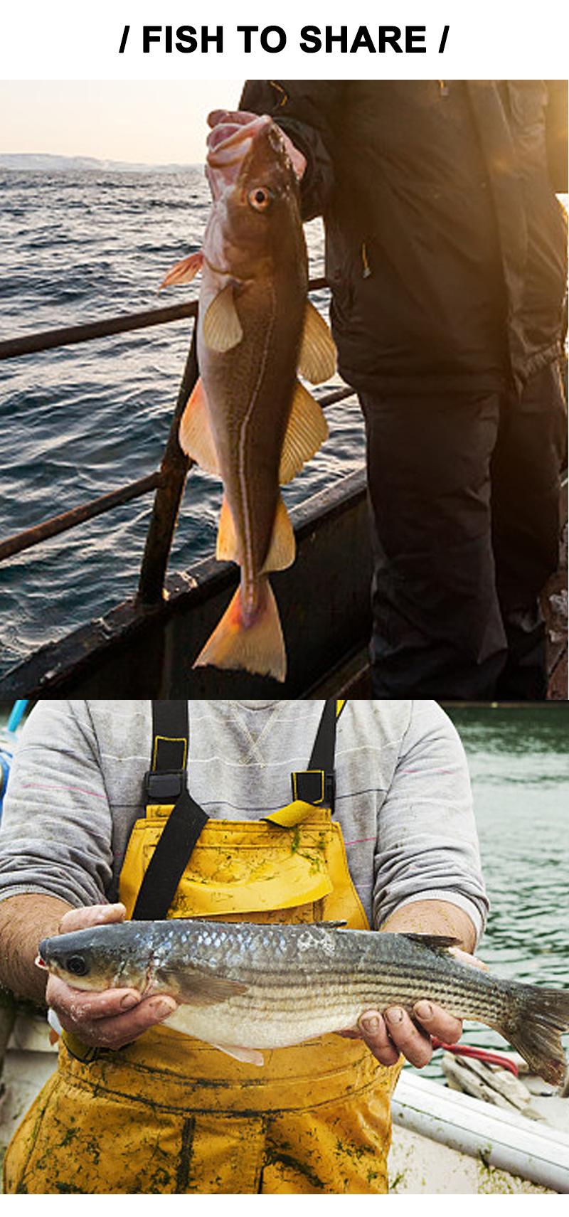 Topwater Dragonfly Fishing Lure Floating Whopper Plopper Style Bait Realistic Insect Artificial Lure Sharp Hooks for Freshwater Bass Snakehead Pike Perch Outdoor Angling Fishing Tackle