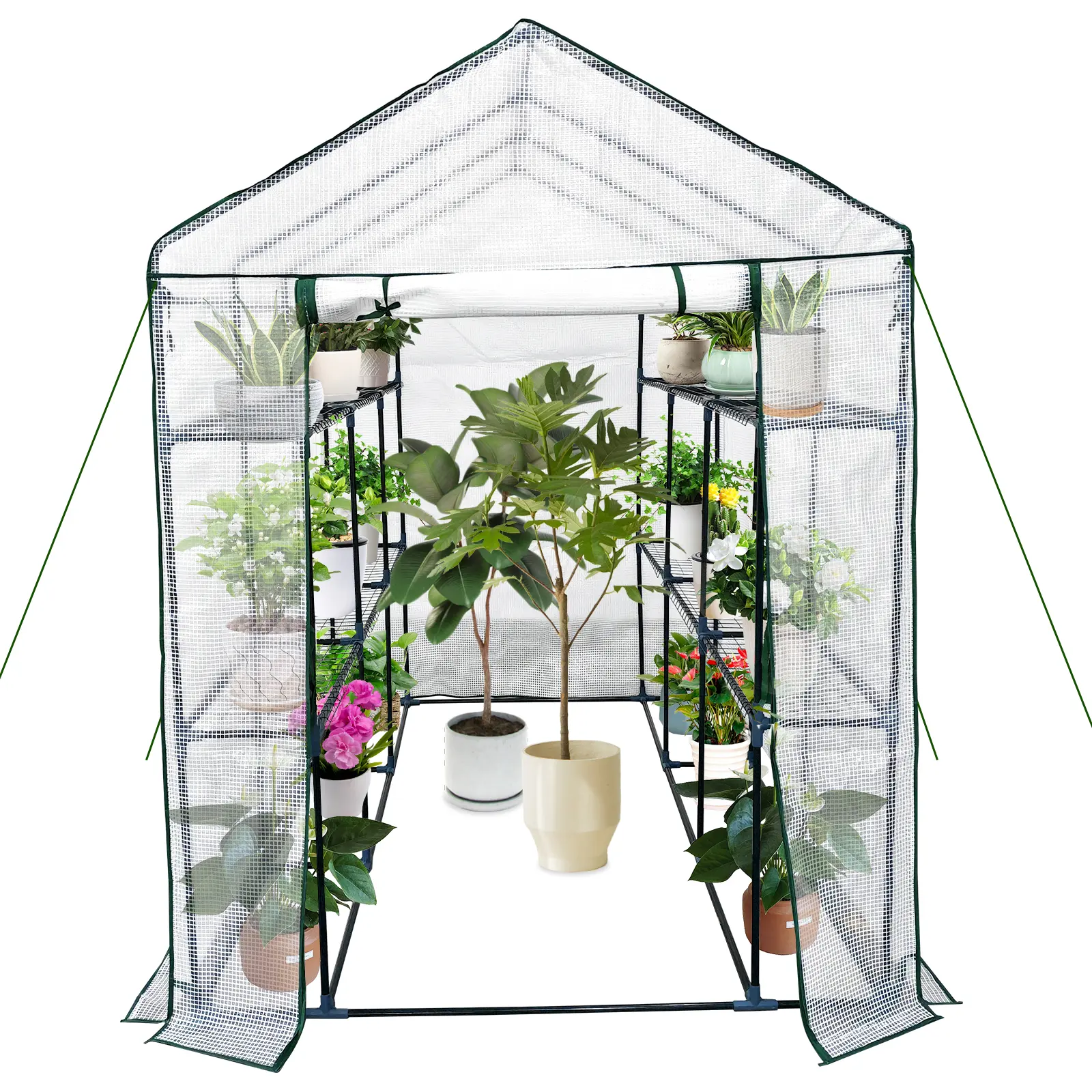 Walk-in Greenhouse for Outdoors, Small Green House Outdoor with 3-Tier Shelves, Roll-Up Zippered Door & Mesh Window, All-Season Plant House for Vegetables Herbs Flowers for Patio Backyard Gardening