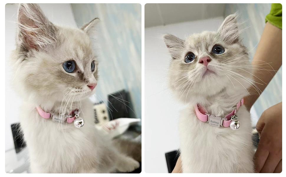 Personalized Safety Elastic Cat Collars with Bell,Laser Customized Stretch Kitten Collars for Girls Boys Cats-Pink