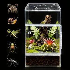 Jumping Spider Enclosure, Small Acrylic Terrarium, Magnetic Front & Top Opening, Bug Habitat for Jumping Spiders, Tarantulas, Praying Mantis, Snails (3.14" x 3.14" x 5.9")
