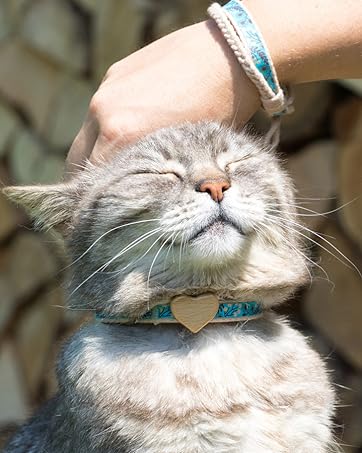 Pettsie Cat Collar with Heart, Safe Breakaway Buckle, Matching Friendship Bracelet, Soft and Comfortable Cotton for Sensitive Skin, Carton Box, Easy Adjustable 8-11 Inches, Green