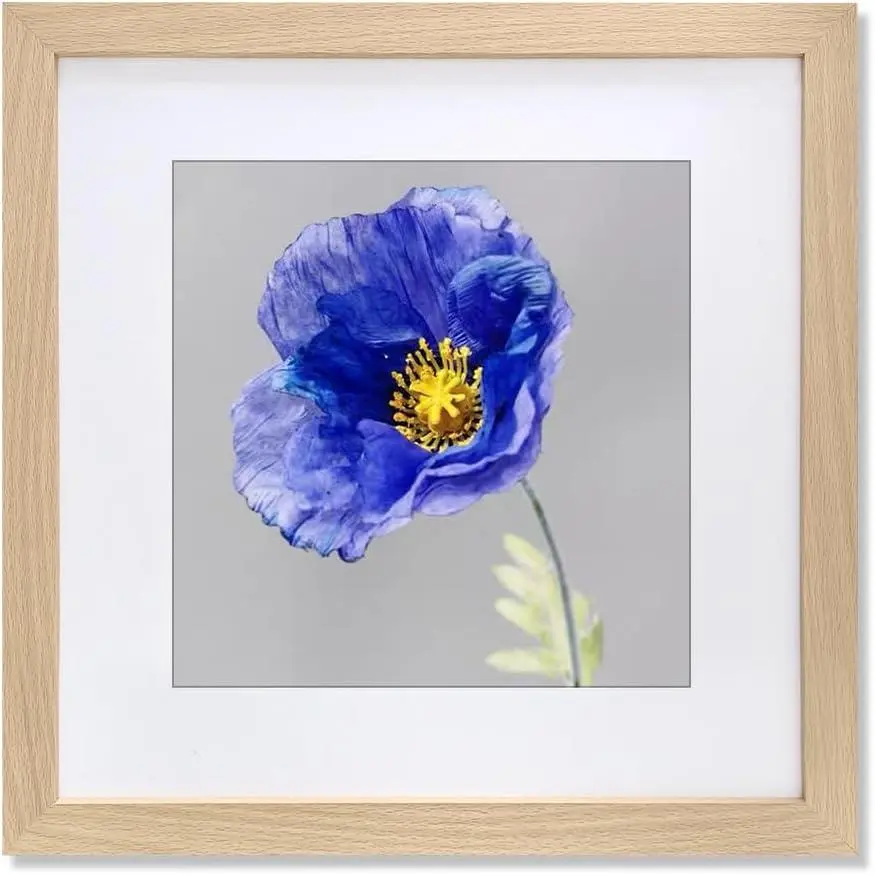 24x24 Frame Natural Wood Color, Perfect for 24x24 Inch Picture without Mat or 20x20 Inch Picture with Mat, Home Wall Decor Picture Frame-1 PCS