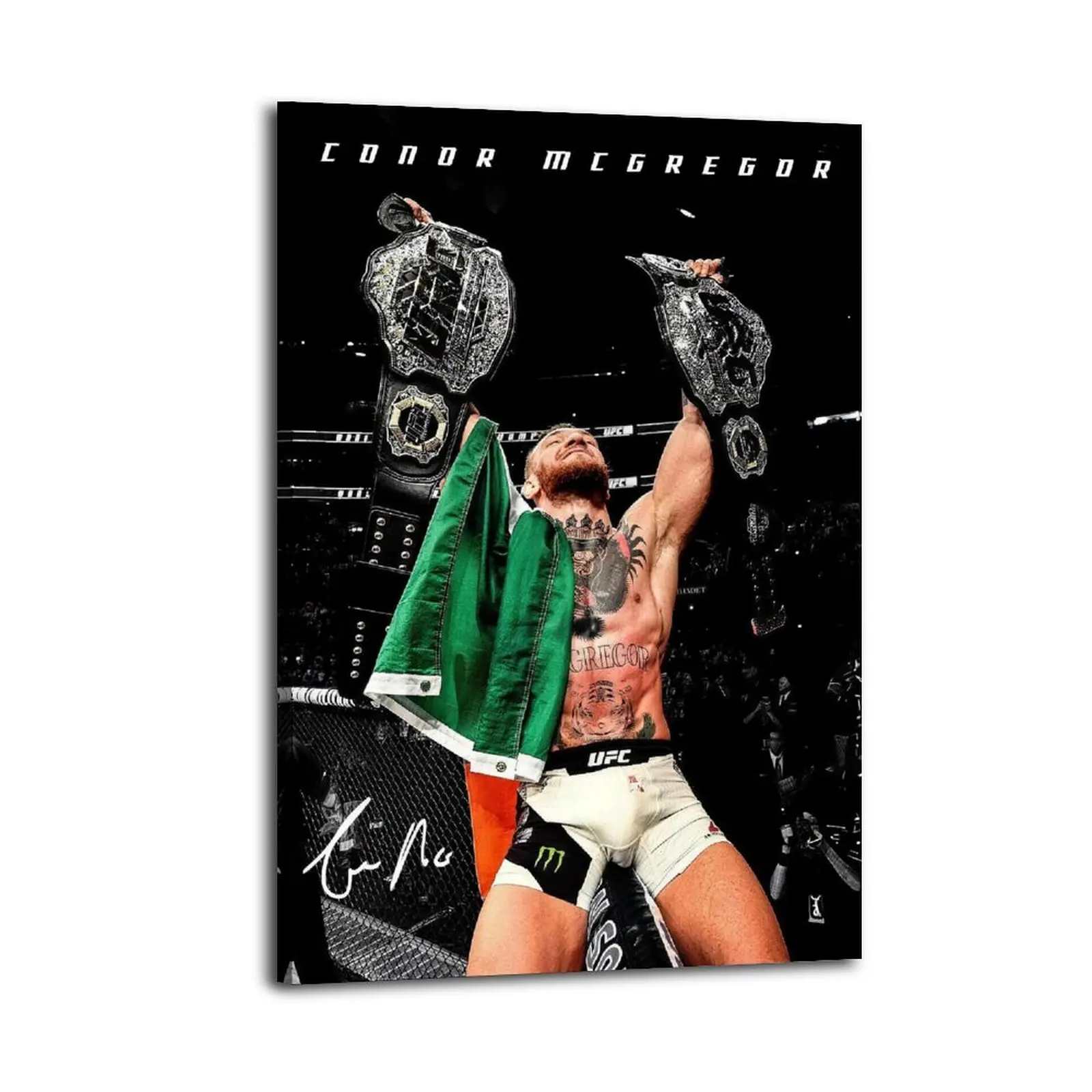 Conor McGregor Canvas Painting| Bedroom Art | Bathroom Art | Trendy Wall Art | Funky Wall Art