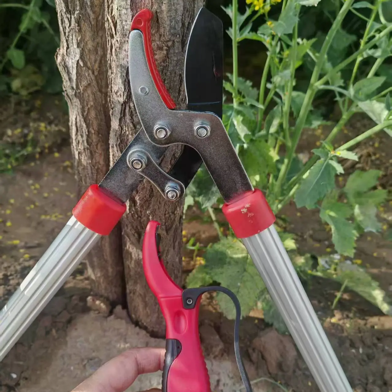 Hand Sharpener, Multifunctional Scissor Sharpening Tool, Universal Fast Blade Grinder, Portable for Household & Garden Shears