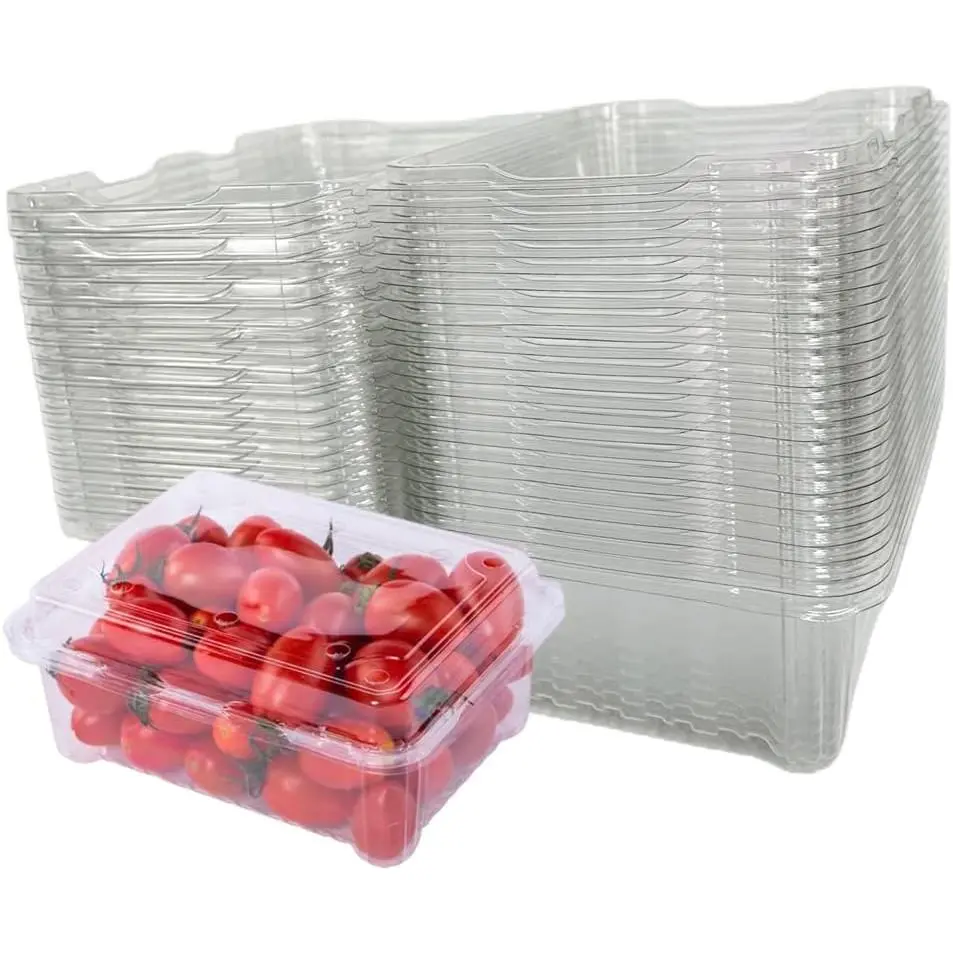 20 Pack Clear Plastic Berry Clamshell Vented Container | for blueberry,Cherry Tomatoes