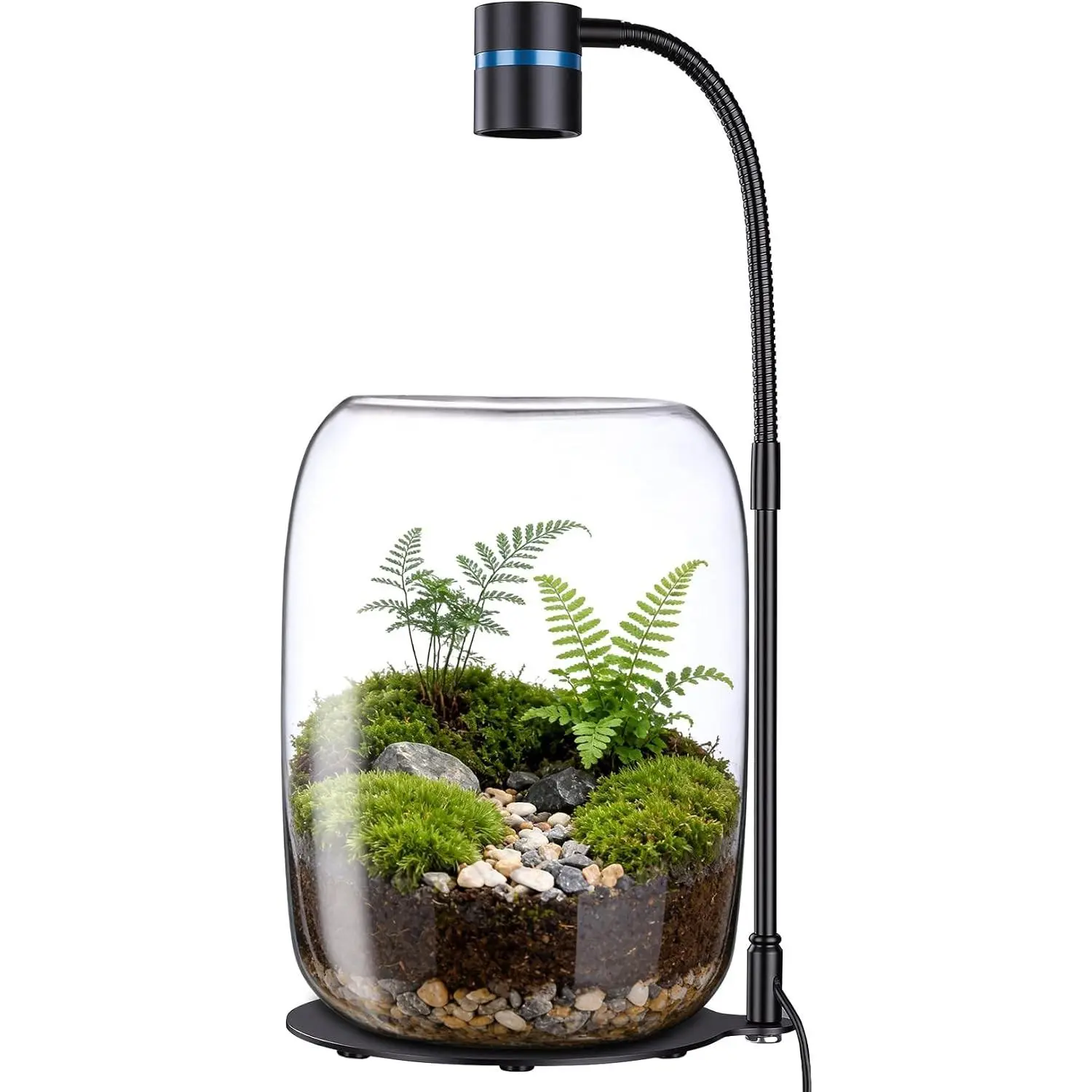 Borosilicate Glass Plant Terrarium with LED Grow Light - Small Size Jar, Desktop Indoor Planter for Venus Fly Trap & Succulents, Decor for Plant Lovers
