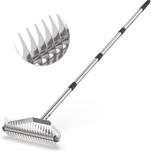 Dethatching Rake for Lawn, 15.6" Thatch Rake with 20 Curved Tines, Manual Lawn Dethatcher with 66" Adjustable Handle, Heavy-Duty Stainless Steel for Removing  Grass & Soil Loosening