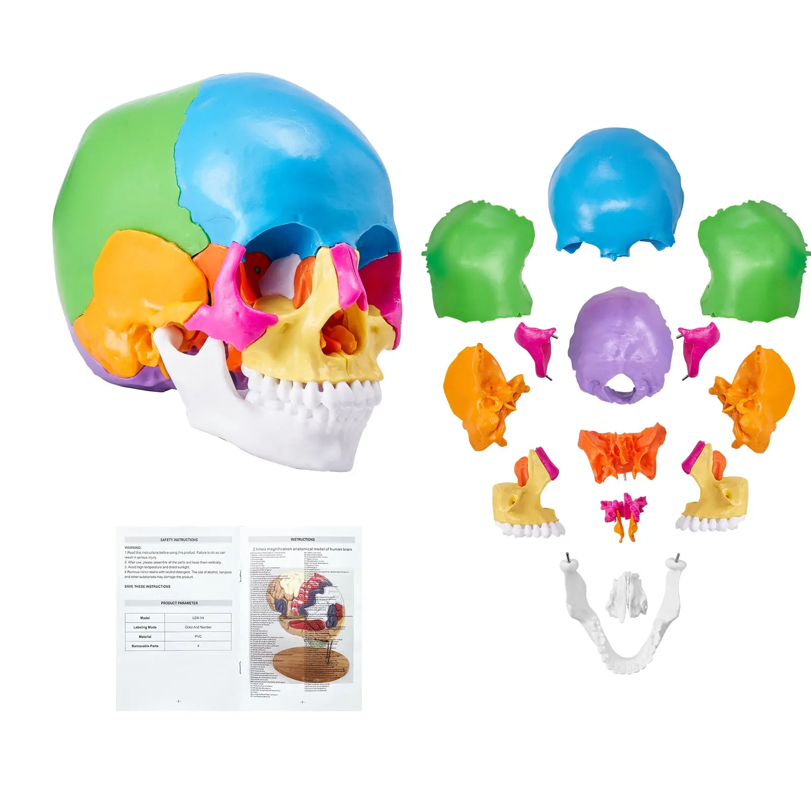 【DealsForYouDays】VEVOR Human Skull Model, 22 Parts Human Skull Anatomy, Life-Size Painted Anatomy Skull Model, PVC Anatomical Skull, Detachable Learning Skull Model, for Professional Teaching, Researching and Learning