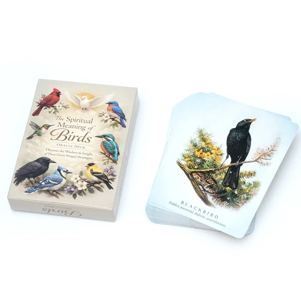 Spiritual Meaning of Birds Oracle Deck, Discover Wisdom & Insight, Divine Winged Messengers, Guide Your Way, View World From God's Perspective