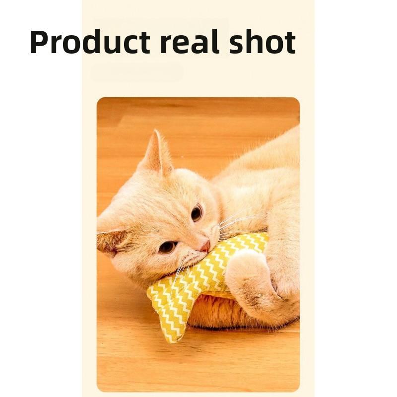 Cat Teaser Wand with Catnip Fish Toy Interactive Kitten Chew Play Simulated Plush Puppy Gift Surprise Pet Stuff
