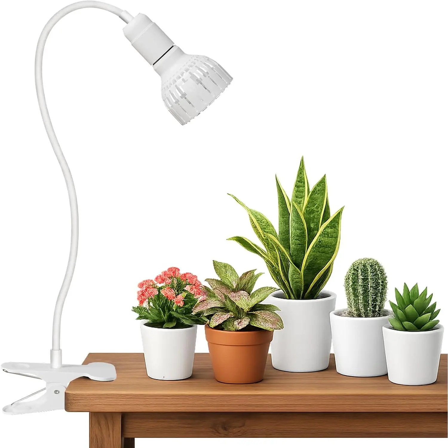 LED Grow Light, 5000K White Full  Clip- Gooseneck  Lamp for Indoor Desk  Growing with 4/8/12H Timer, Bulb  &  Plug Compatible(12W Equivalent 80W)