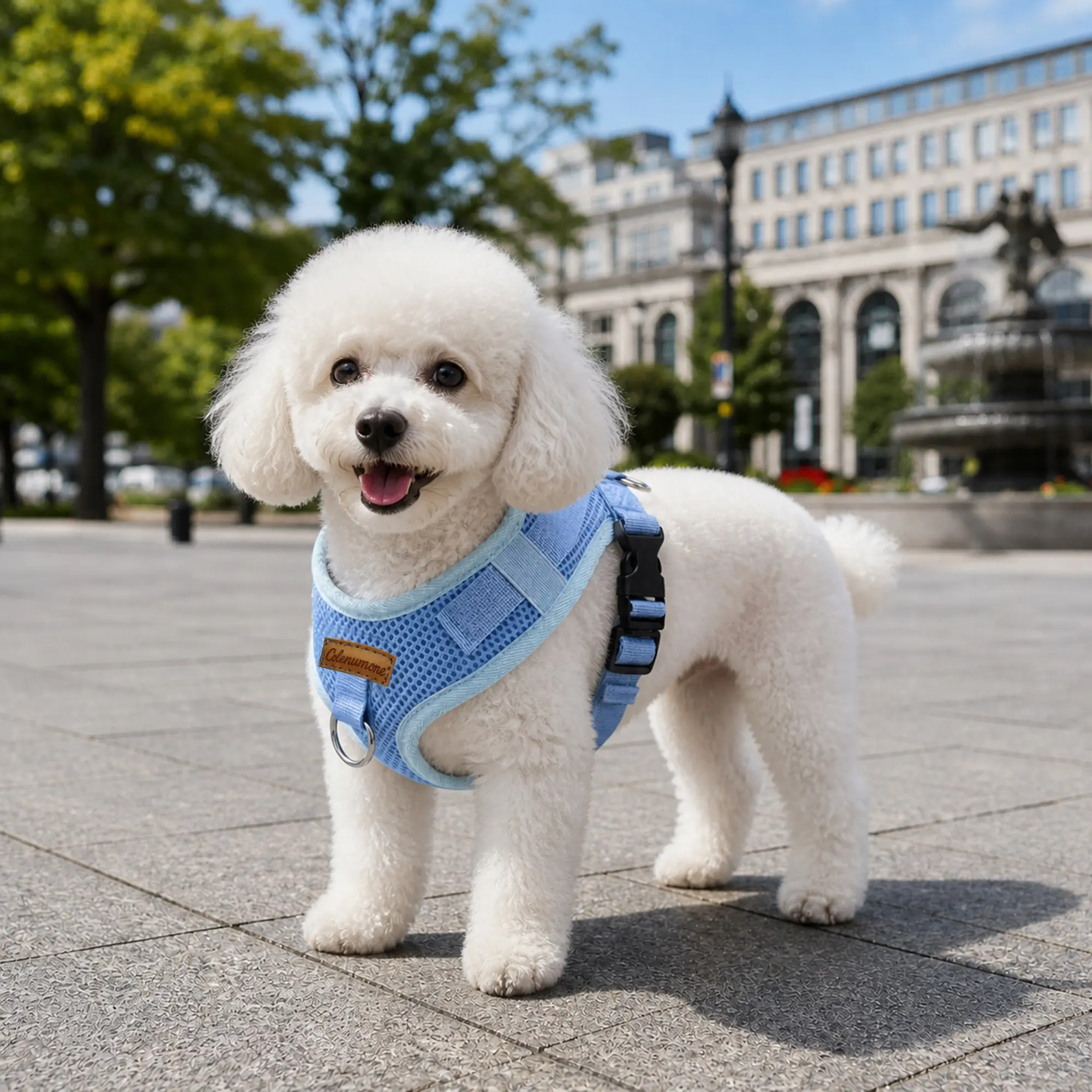 New Pet Harness Puppy Harness Comfortable Breathable Non-Restrictive, Adjustable Size for All Dogs, Includes Leash Attachment, Anti-Loss Design