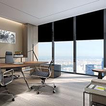 Cordless Roller Shades Blackout Blinds for Windows Room Darkening Rolled Up Shades with Spring System, UV Protection Window Shades Door Blinds for Home and Office (23" W x 72" H, Black)