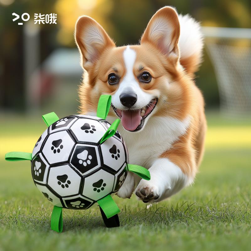 3-piece 6-inch or 15cm Interactive  Set with Air Pump and Air Nozzle 3-in-1  Football with Rope Puppy Birthday Gift Pulling Water  Durable Suitable for All Occasions Large Dog Tentacle Dancing Octopus  Teaser Toy USB Green Laser Pointer