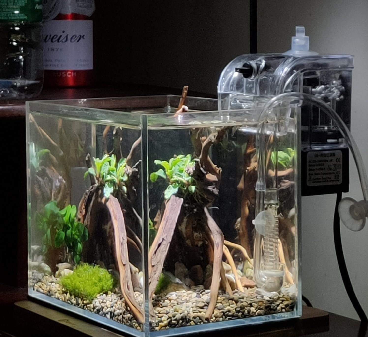 Small Nano Rimless Clear Glass Fish Tank 11 Gallon 7.8x5.5x5.9 Inch Betta Tank for Small Fish Small Nano Rimless Clear Glass Fish Tank 11 Gallon 7.8x5.5x5.9 Inch Betta Tank for Small Fish
