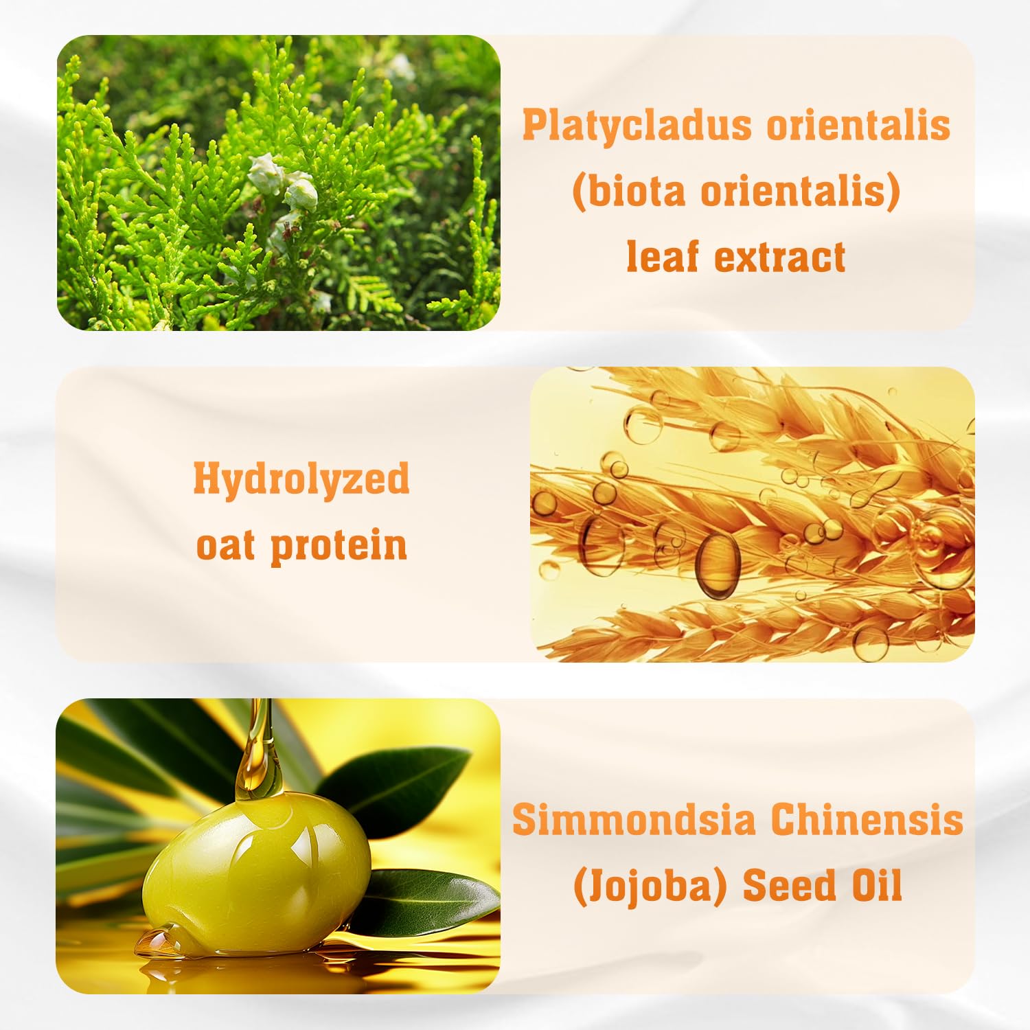 Skynii Platycladus Leaf Shampoo, Anti-Hair Loss, Strengthens Roots, Soothes Scalp, Cedar Leaf Extract, Ginger Root Extract, 300ml