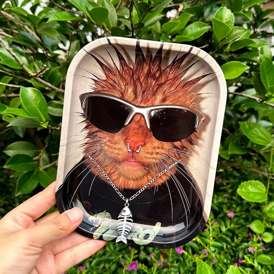Trendy Punk Orange Cat With Sunglasses And Fishbone Necklace Printed Rounded Rectangular Metal Storage Tray, Household Desktop Vanity Organizer Plate for Jewelry, Necklaces, Lipsticks and Cosmetics, Entryway Storage Box for Keys, Coins and Small Sundries,