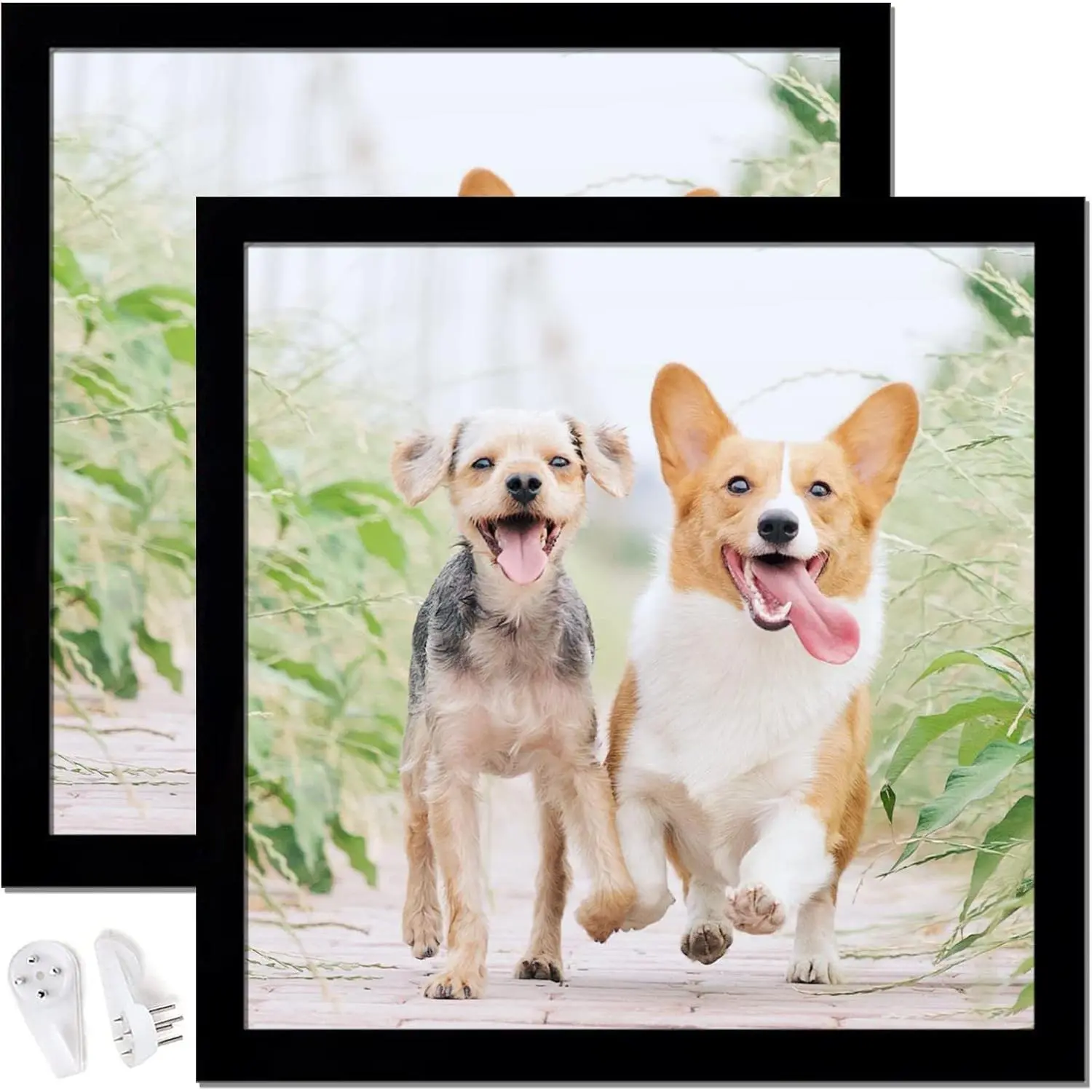 14x14 Inch Black Square Picture Frame Set of 2, High Transparent Photo Frames for Wall Gallery Desktop, Horizontal Vertical Display for Canvas Collage Photo Poster Certificate