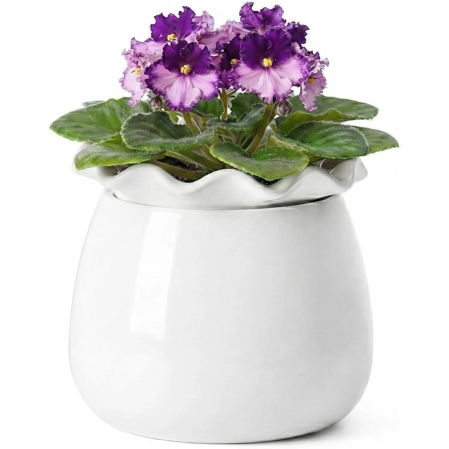 Self Watering Plant Pot, 6 Inch African Violet Pots Maintenance, Ceramic Self-Watering Planter for Indoor Plants - Ideal Flower Pot for Thriving Indoor Gardens, White