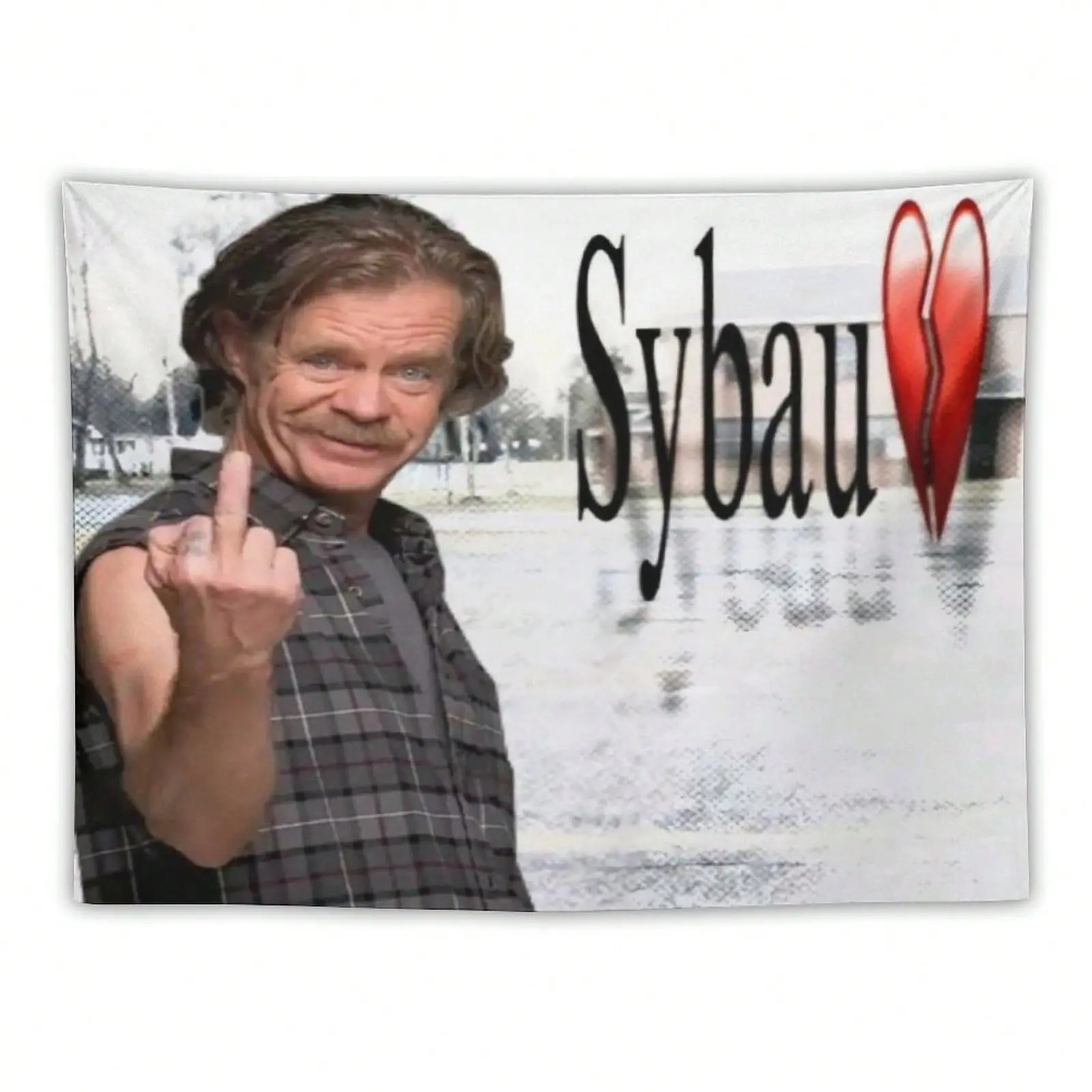 Frank Gallagher Tapestry Funny American Flag Aesthetic Decorative Durable William H. Macy Tapestry Suitable For Indoor And Outdoor Decorate For College Dorm Room ,Parties, Travel, Filming, Events, Festivals Decor Wall Tapestry