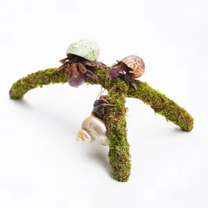 Hermit Crab Climbing Toys Adjustable Hermit Crab Supplies Hermit Crab Habitat Tank Accessories