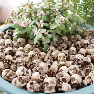 20pcs Mini Skull Figurines Decor Set, Decorative Gothic Spooky Halloween Ornaments with Lifelike Appearance, Lightweight Easy-to-arrange Tabletop Decor for Fish Tank Sand Base, Room Decoration