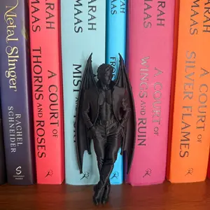 Dark Fantasy Book Nook, Acotar Inspired Rhysand Book Nook, Bat Boys, Feyra, Shadow Daddy, Velaris, Romantasy, Bookshelf Decor, Bookish Gift